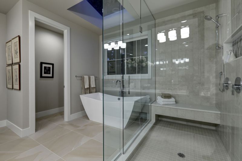 Modern Glass Shower Enclosure